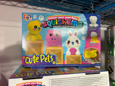 Colour Your Own Pet Squishems
