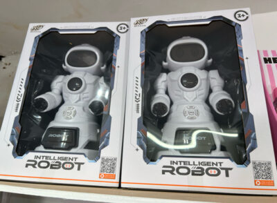 Intelligent Interactive Robot