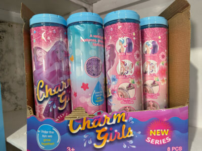 Charm Girls Reveal Doll (Asstd)