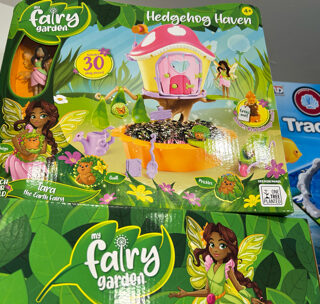 My Fairy Garden Hedgehog Haven