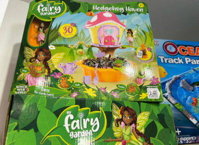 My Fairy Garden Hedgehog Haven