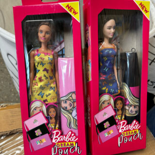 **FLASH SALE - Barbie Dream Pouch Doll (Asstd)**
